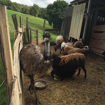 Hébergement de vacances Zelai-eder *