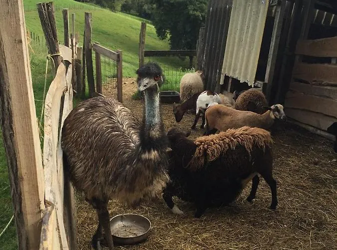 Holiday home Zelai-eder *