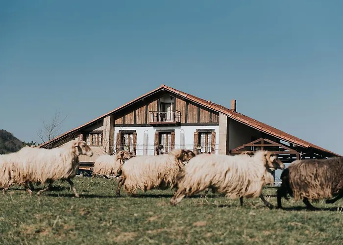 Casa vacanze Zelai-eder *